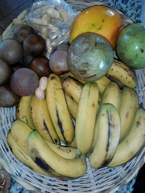 Pin By Jamaican Foodie On Jamaican Fruits Fruit Banana Food