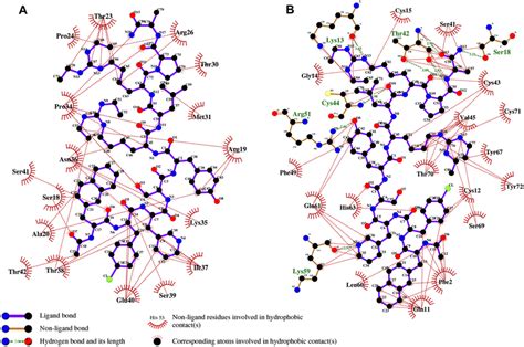 Ligplot Diagrams A B Elucidating The Proteinligand Interactions Download Scientific Diagram