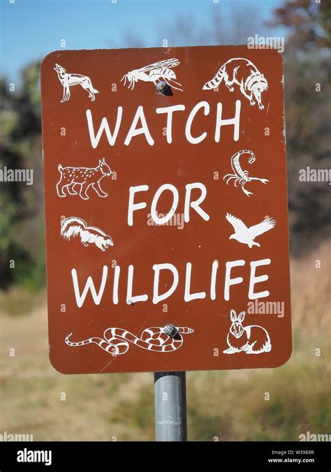 "Watch for wildlife" sign Stock Photo - Alamy