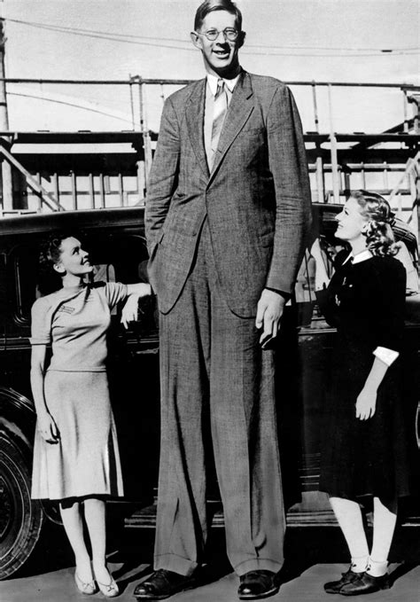 Robert Wadlow Weight Height And Age Body Measurements