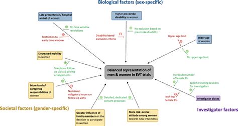 Toward A Better Understanding Of Sex And Gender Related Differences In