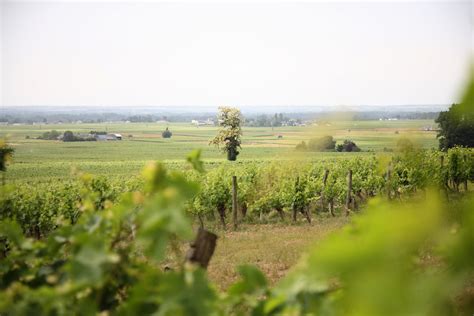 Clos Des Quarterons Domaine Amirault I Saint Nicolas De Bourgueil