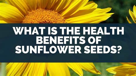 What Is The Health Benefits Of Sunflower Seeds