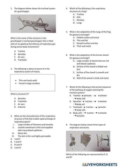 1385785 Biology Paper 1 Chapter 8 And 9 Form 4 Daiana