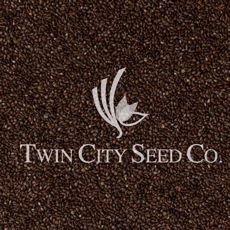 Native Bee Lawn Seed Mixture Twin City Seed Company