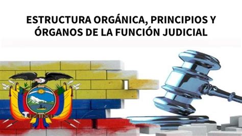 Estructura Org Nica Principios Y Rganos De La Funci N Judicial