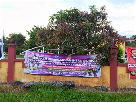 Caradex Organic Fertilizer Testimoni Pokok Mangga Sekolah Kebangsaan