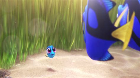 Finding Dory (2016) Film - Official Disney Pixar UK Site