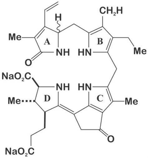 Ijms Free Full Text New Perspectives Related To The Bioluminescent System In Dinoflagellates