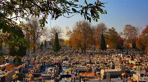 Jaworzno Przygotowane Do Wi Ta Zmar Ych Bezp Atna Komunikacja Zmiana