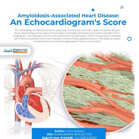 prime scholars  linkedin tissue biopsy healthcare viralvideo