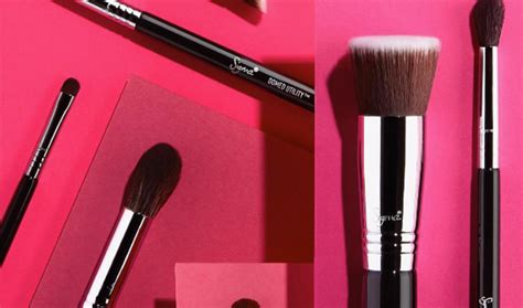 Is The Best Of Sigma Brush Set Worth It Fans Seem To Think So Sigma