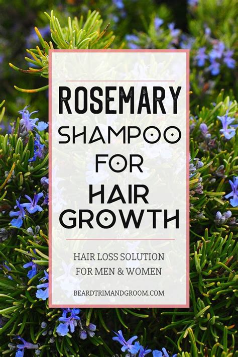 Best Rosemary Shampoo For Hair Growth Beard Trim And Groom Rosemary