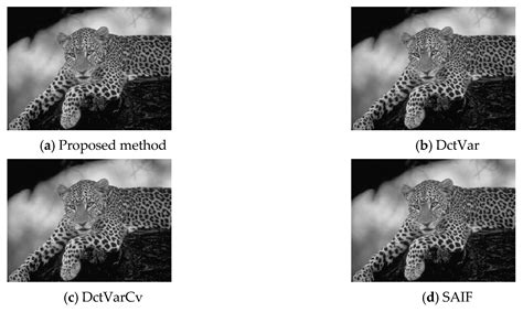 Applied Sciences Free Full Text Multifocus Image Fusion Using A