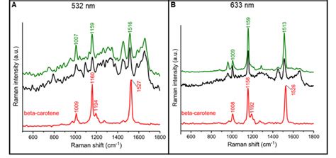 Raman Spectra Of Carotenoids Occurring In T Cells Black And Green Download Scientific Diagram