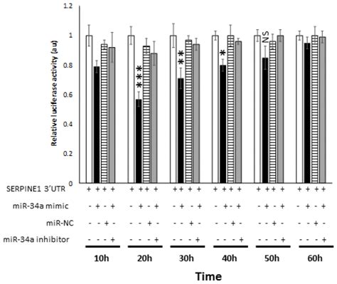 Tp Mir A Associated Signaling Targets Serpine Expression In Human