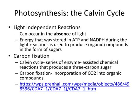 Photosynthesis: the Calvin Cycle