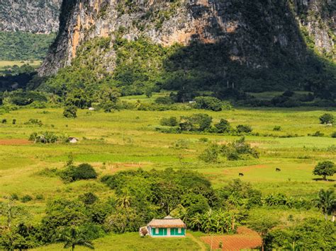 Viñales, Cuba: A Local's Guide For Travelers [2024]