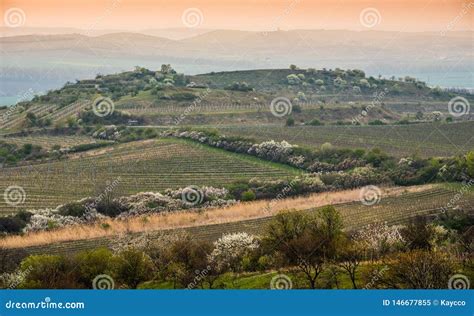 Moravian Rural Landscape stock image. Image of moravia - 146677855