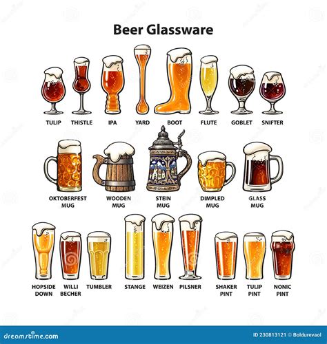 Set Of Different Types Of Beer Glasses And Mugs Beer Glassware Guide