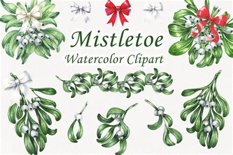 Watercolor Botanical Mistletoe Set.