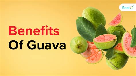 7 Amazing Guava Benefits For Heart Health & Weight Loss - Diabetes Blog