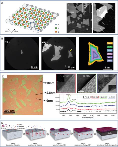 H‐bn Growth On Ni A Atomic Model Of H‐bn On Ni 111 Surface Showing Download Scientific