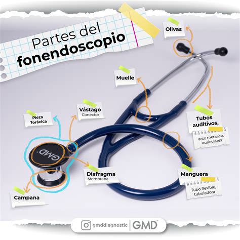 Profesionales De La Salud Fonendoscopio OIS 500 GMD Negro