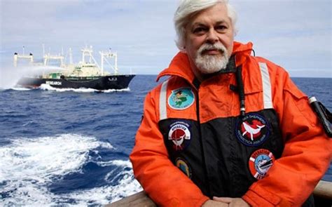 Anti Whaling Campaigner Arrested In Greenland Report Az