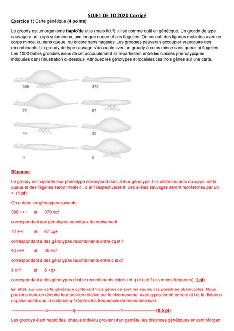Sujet De Td Corrige Sujet De Td Corrig Exercice Carte