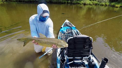 Grass Carp: Chasing the Eat - Flylords Mag