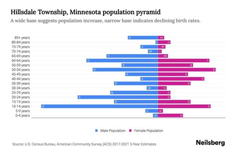 Hillsdale Township Minnesota Population By Age 2023 Hillsdale