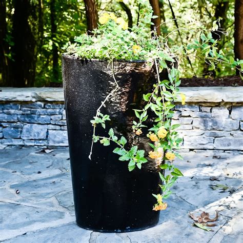 Tall Black Ceramic Planter | EBTH