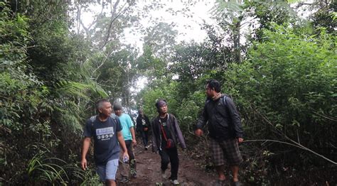 Agro Wisata Jalan Belanda Di Hkm Kibuk Perhutanan Sosial Sumatera