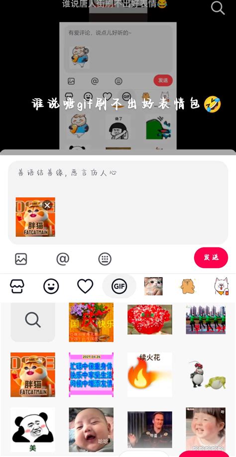 胖猫颜文字表情 抖音