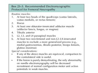 Femoral nerve | PPT