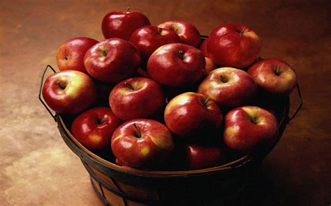 Apple - Fruit Photo (34914777) - Fanpop