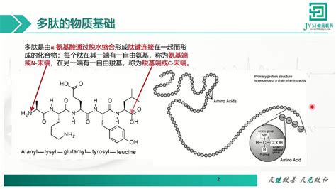 多肽基础知识及来源分析 腾讯视频