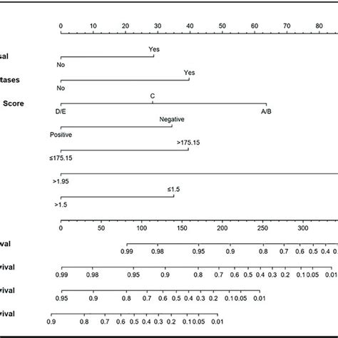 Cz Score Nomogram Model For Prognostic Prediction Of Patients With