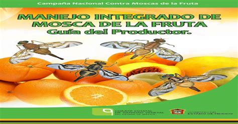 Manejo Integrado De Mosca De La Fruta Pdf Document