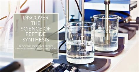 The Ultimate Guide To Peptide Synthesis: Everything You Need To Know ...