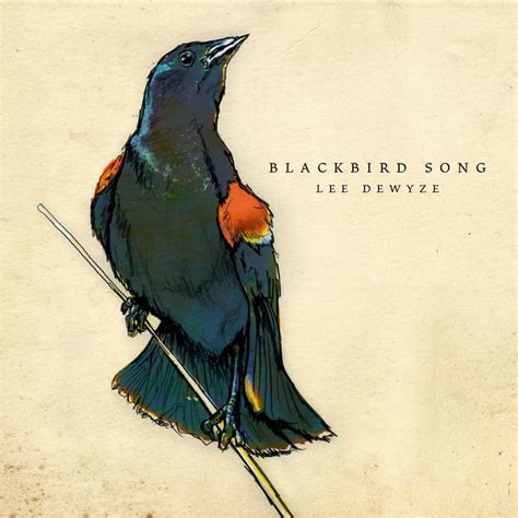 Blackbird Song by Lee DeWyze on MP3, WAV, FLAC, AIFF & ALAC at Juno ...