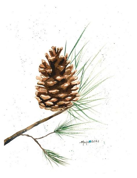 Pinecone Watercolor Print From Original Etsy Watercolor Flower Art