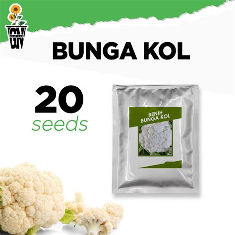 Benih Super Kembang Kol Cauliflower Bunga Kol Sayur Isi 20 Biji