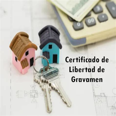 Certificado De Libertad De Gravamen Elyex