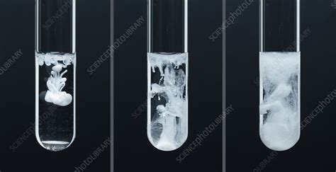 Lead sulphate precipitate - Stock Image - C030/7554 - Science Photo Library