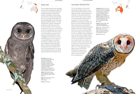 Owls A Guide To Every Species Birdguides