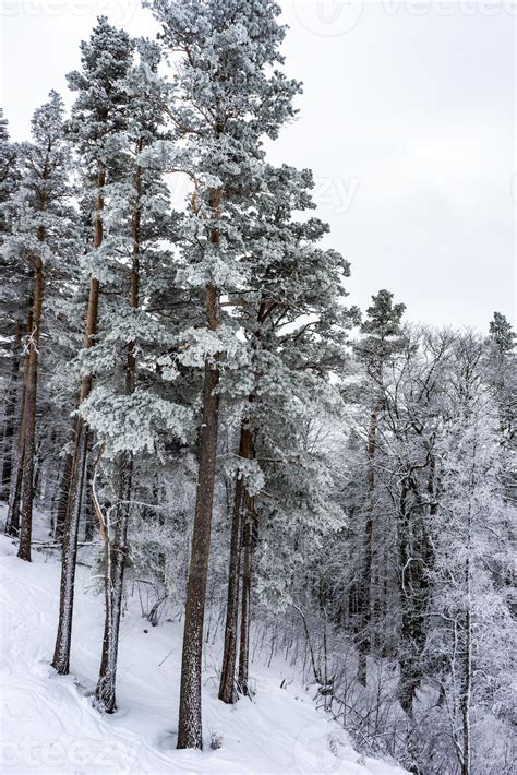 Covered with snow Caucasus mountain 7293760 Stock Photo at Vecteezy