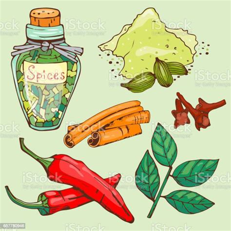 Spices Seasoning Hand Drawn Style Food Herbs Elements And Seeds