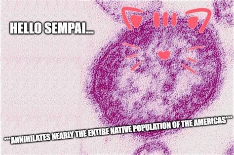 Fuck You Smallpox R DankPrecolumbianMemes